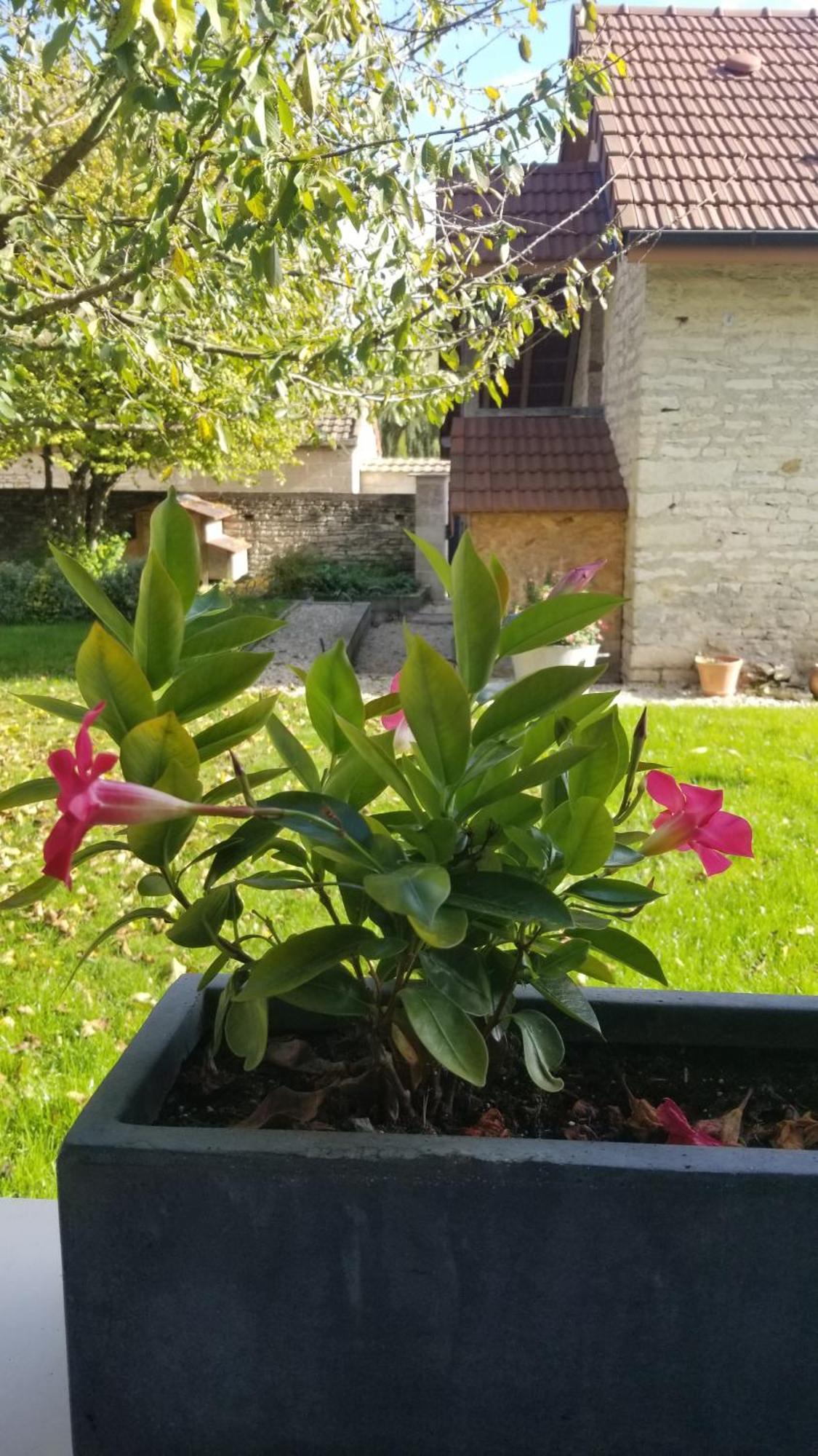 Holiday home Du Ka'lao Saint-Julien (Cote-d'Or)